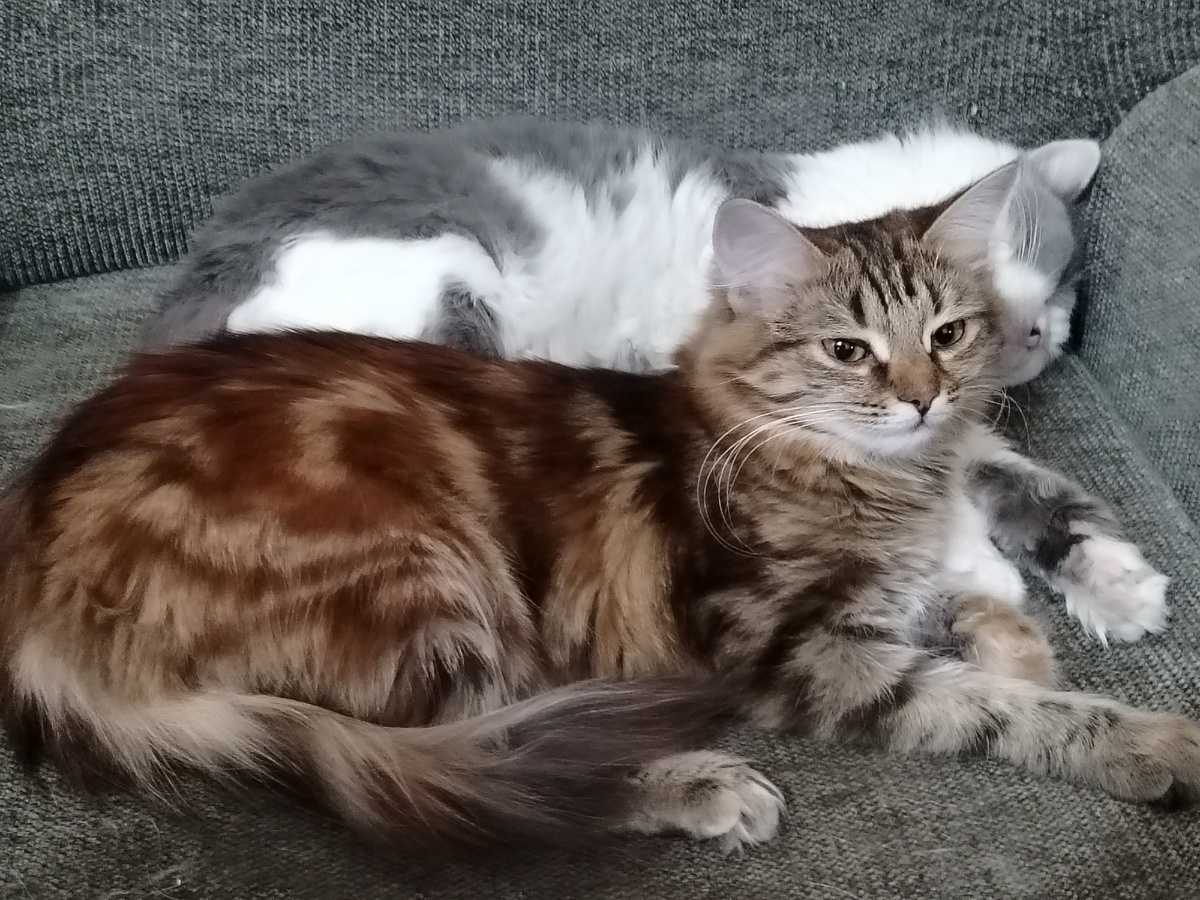 Матильде скоро 7 месяцев