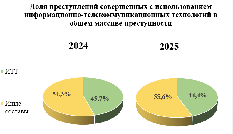    Из презентации начальника Управления МВД по Перми