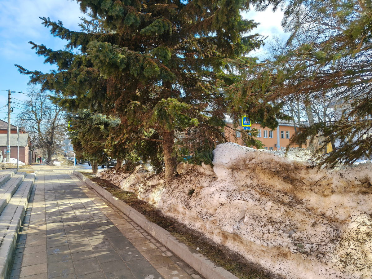 Фото автора. Не в центре есть снег
