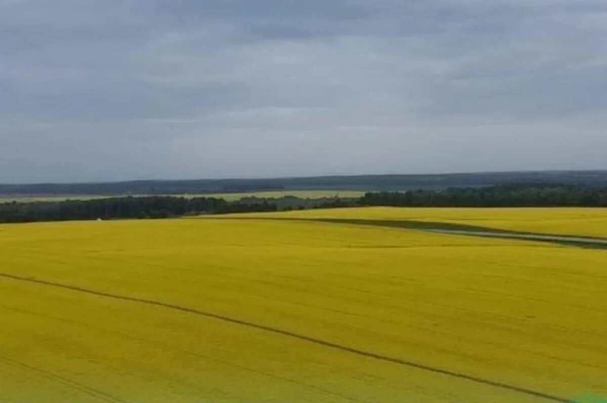    Подготовка к посевной в Калужской области идет с опережением графика