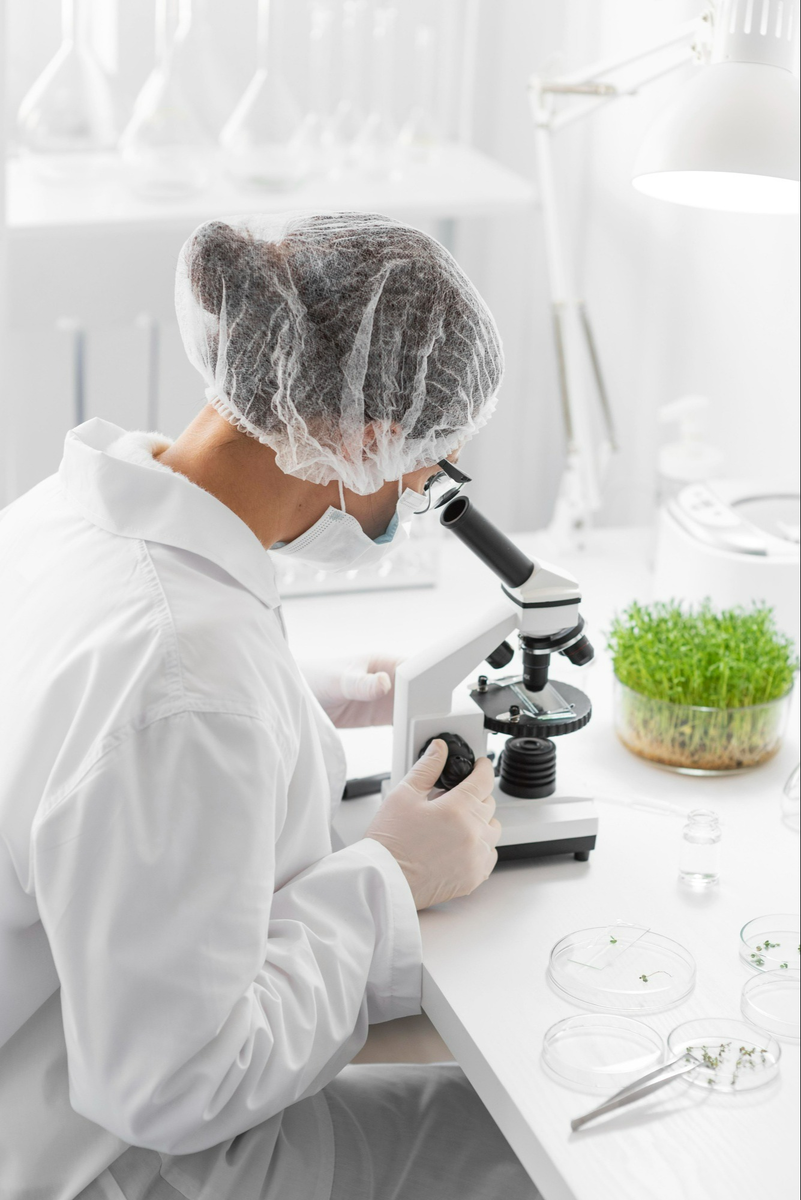 Автор фото: ru.freepik