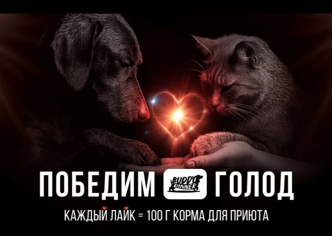 Фото из свободных источников 