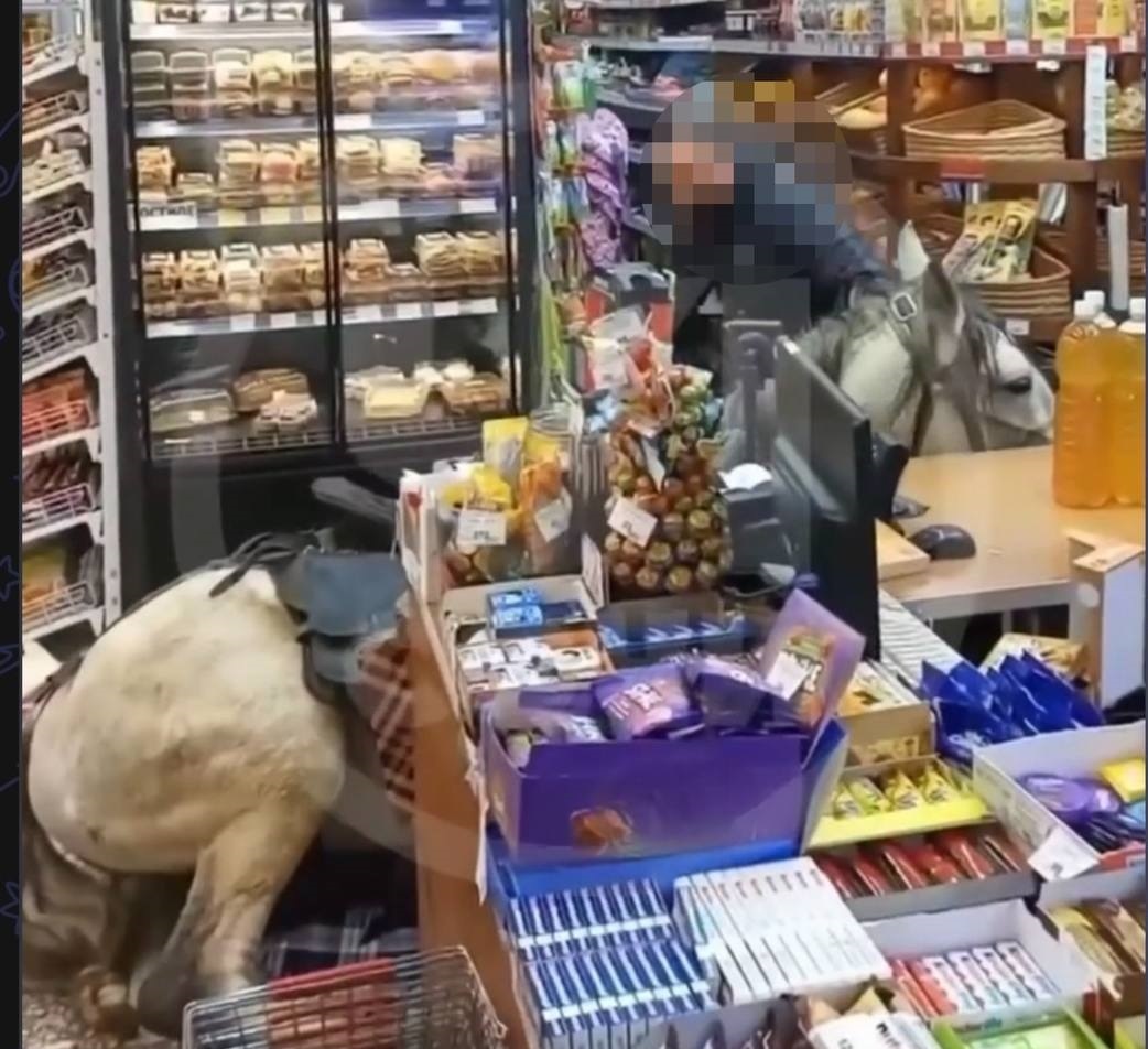    Фото: Telegram/Полиция Сочи