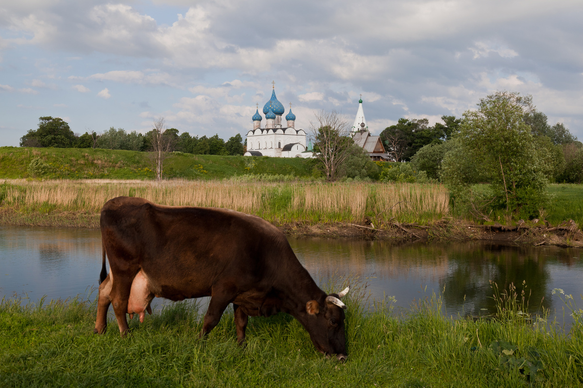 Фото: @dreamstime