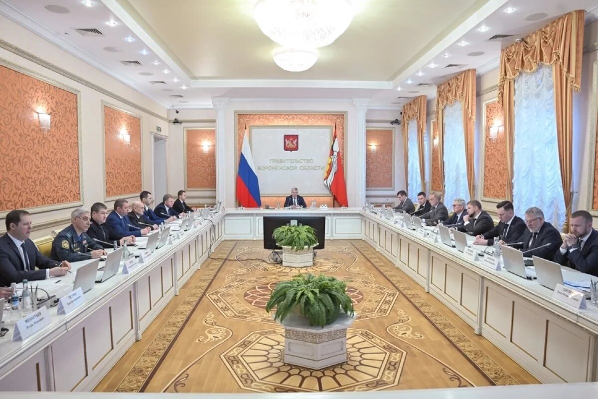    Поддержку многодетных семей усилят в Воронежской области