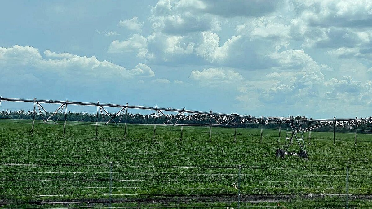    Фото: телеканал «Краснодар»