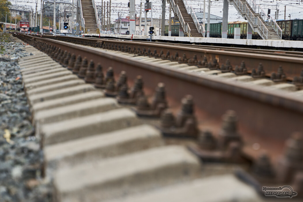    Фото Лидия Аникина © ИА «Уральский меридиан»