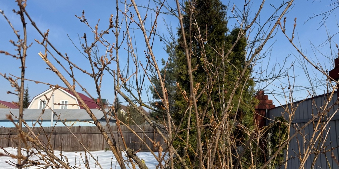 «Сами собрали членские взносы - сами потратили собранные средства на достижение уставных целей СНТ»