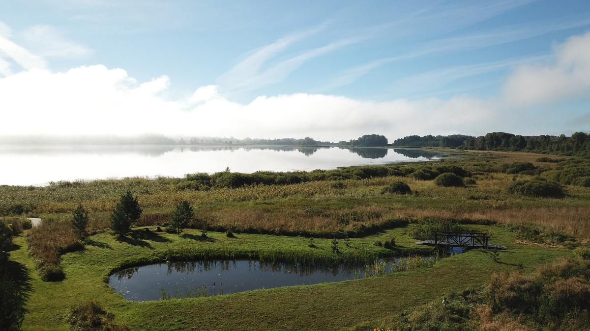 Берег Селигера в Ботово