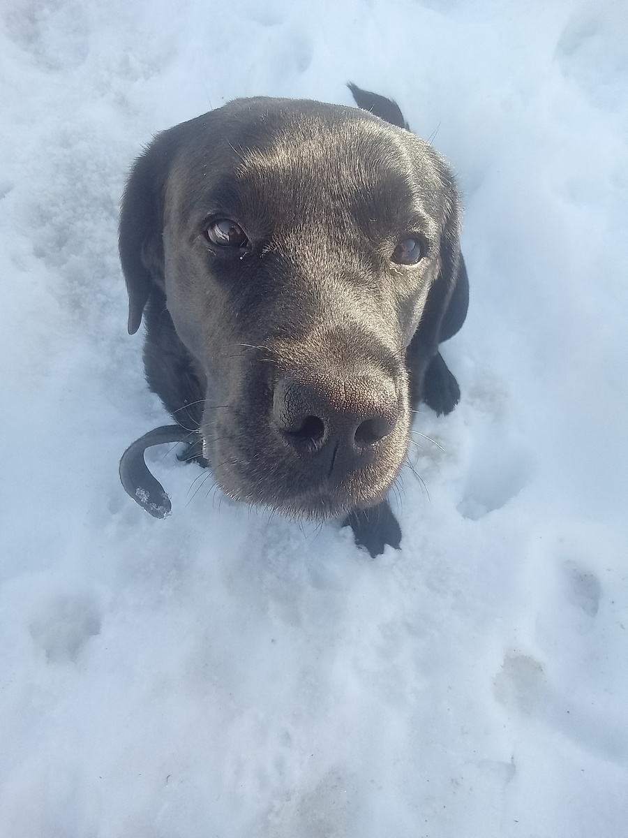 Фото автора. 