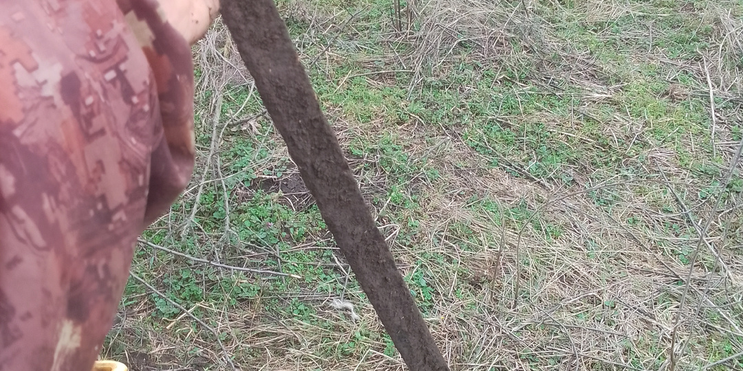 Копаю "чёрные сигналы". Заготовки на зиму