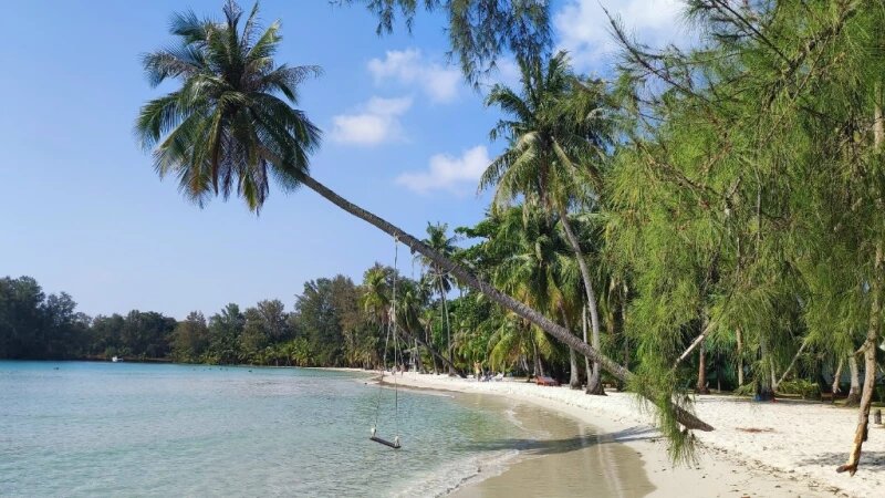     Море, пляж. altapress.ru