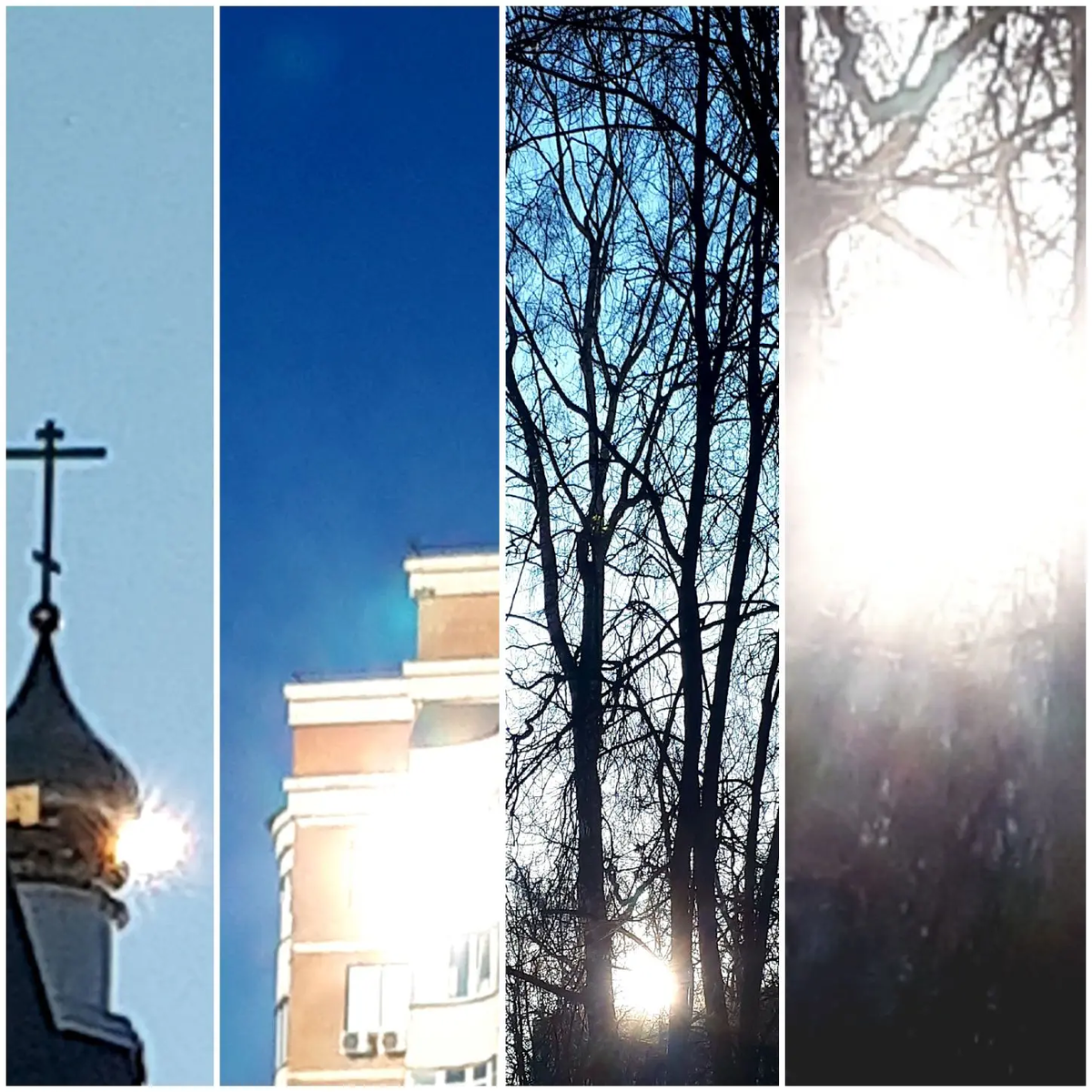 Коллаж автора статьи 24.03.2026г.