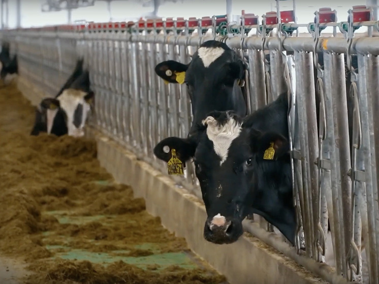     Фото Александра Цыбульского / VK