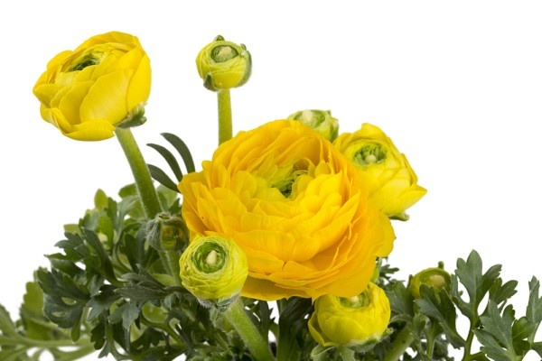 Источник фото shutterstock.com