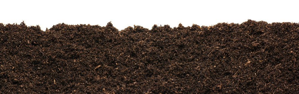 Источник фото shutterstock.com