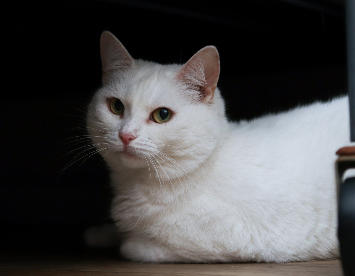 Свечусь в темноте даже:)