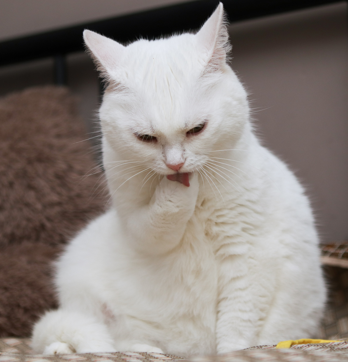 Но иногда капризная))