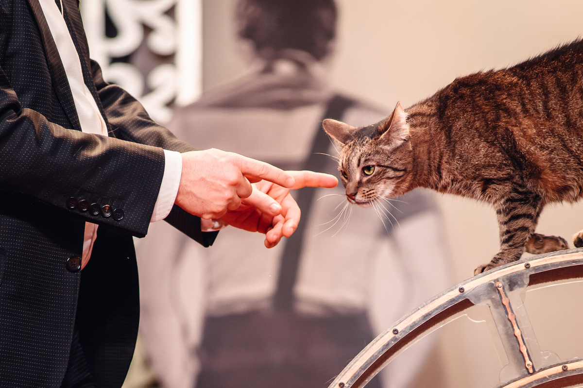    Фото: пресс-служба ГК ВИК