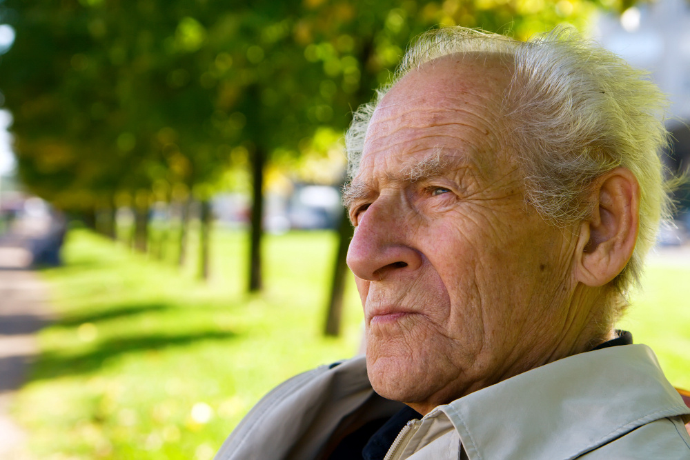    ru.freepik.com / @anita_bonita7