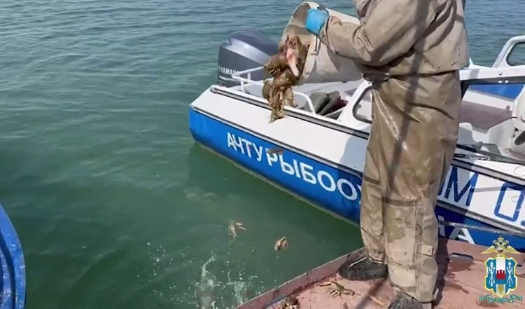    На фото стоа-кадр видеоматериала пресс-службы ГУ МВД России по РО Татьяна Пшеничная