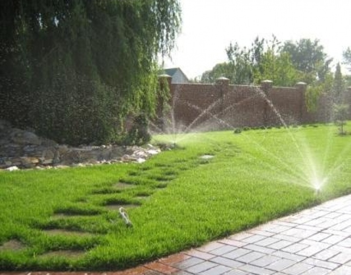 Подарочные сертификаты на озеленение от ПодарокСервис