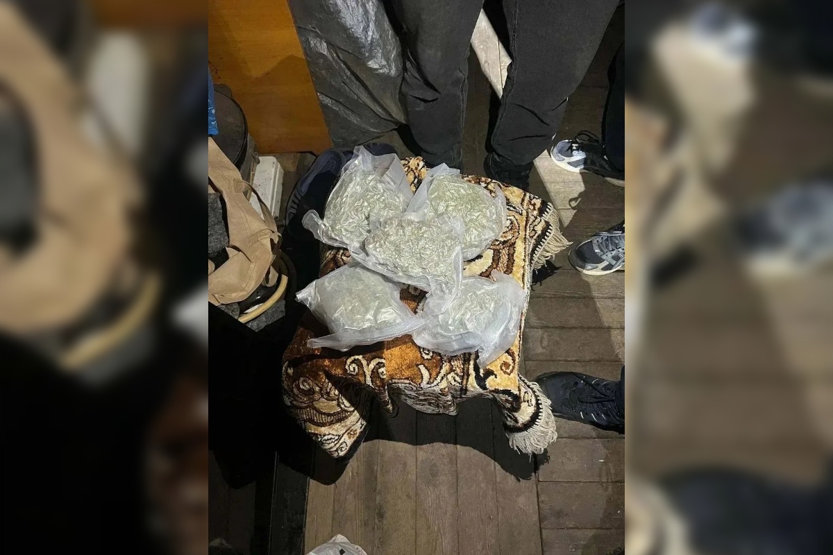    Фото: пресс-служба ГУ МВД России по Челябинской области.