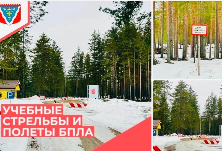 фото: vk.com/mo_rom_sp