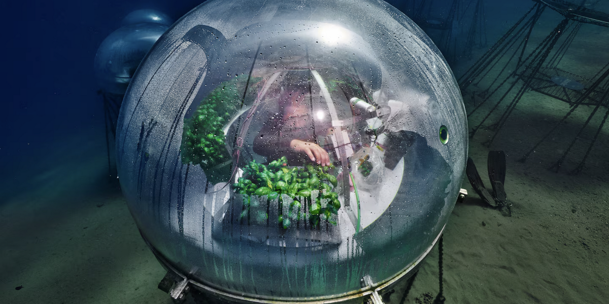 Фото: Luca Locatelli / nemosgarden.com