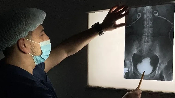    фото: министерство образования Омской области