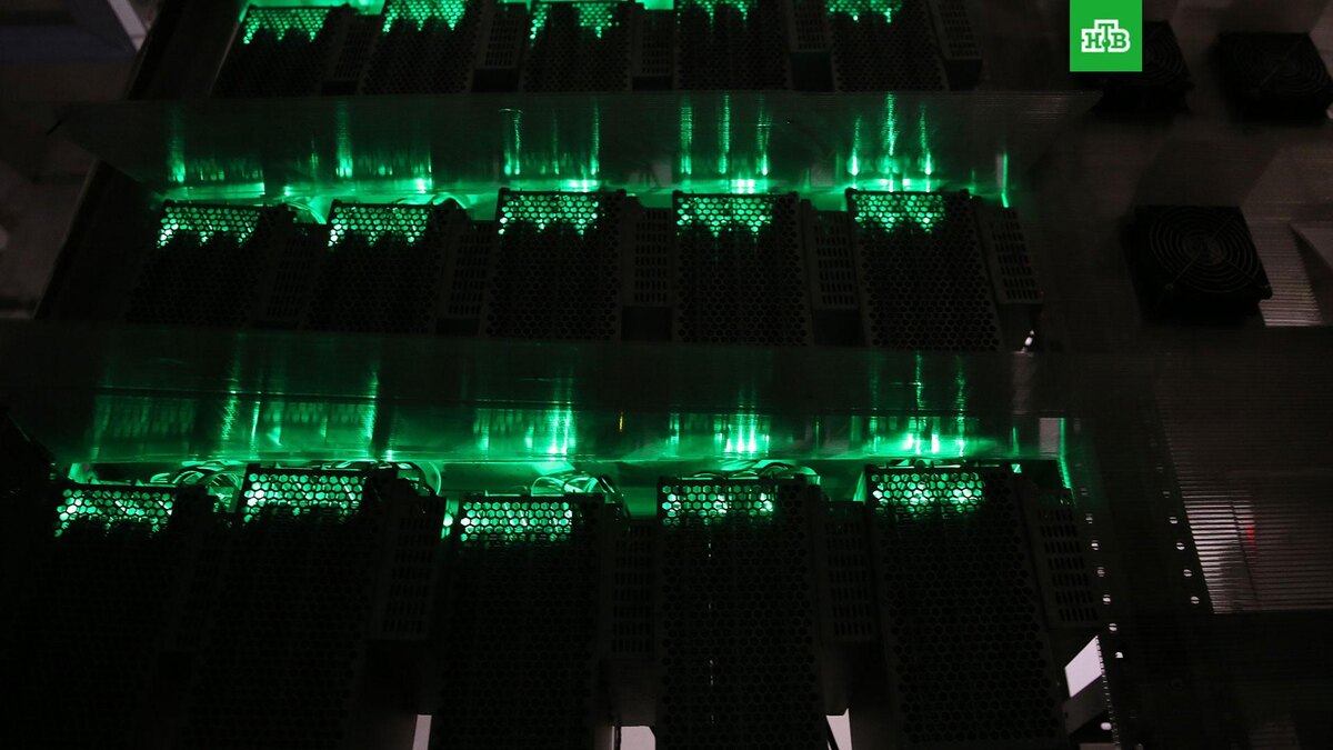    Фото: РИА Новости © 2026, Евгений Козырев