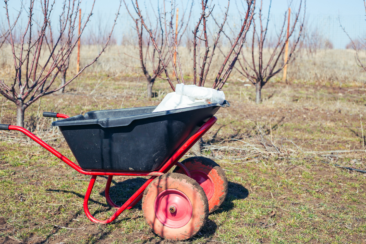 Фото: Natalia Kokhanova / GettyImages.