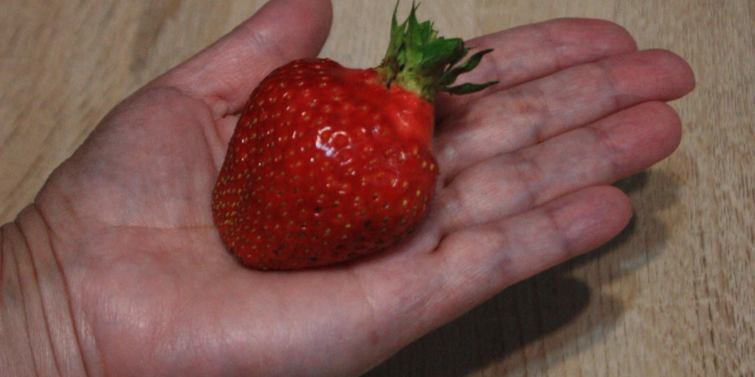 Клубника (садовая земляника).