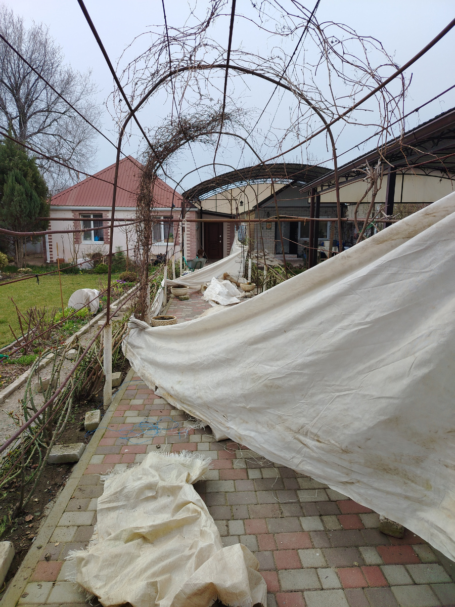Двадцать метров парус. Поди-ка, сверни его в одни руки. Предварительно от роз отцепив. Ухэкаешься. 