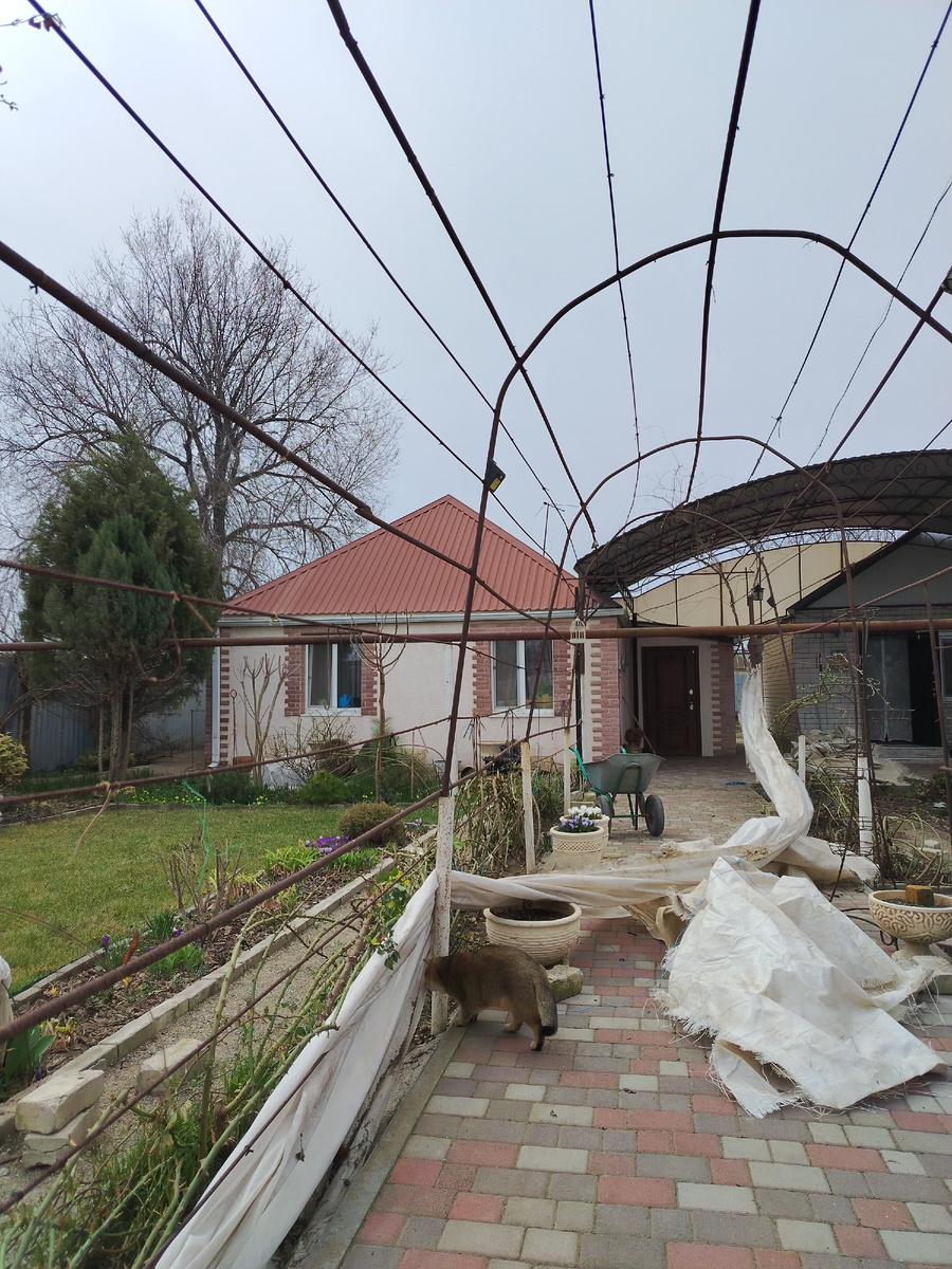 Главный помощник. Только бы под ногами путаться! 