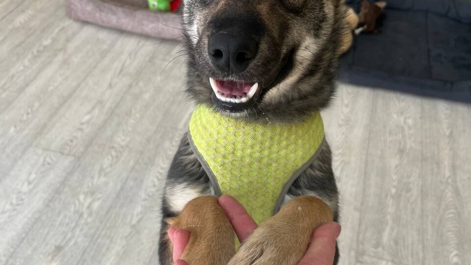 Малышка Симона