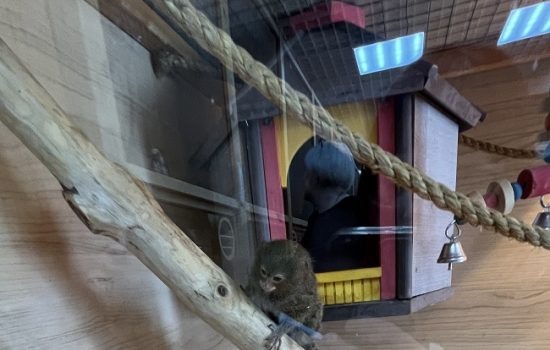    Фото: Управление Россельхознадзора по Орловской и Курской областям