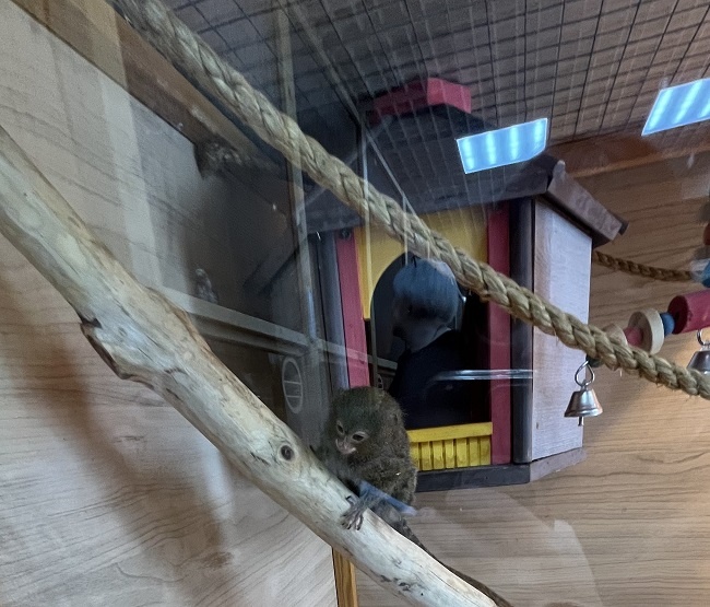    Фото: Управление Россельхознадзора по Орловской и Курской областям