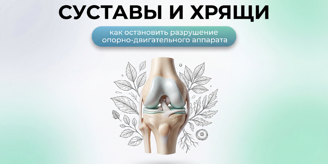 Суставы и хрящи: как остановить разрушение опорно-двигательного аппарата