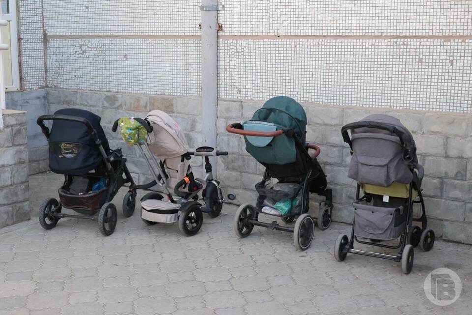    Фото: Дмитрий Рогулин / "Городские вести"