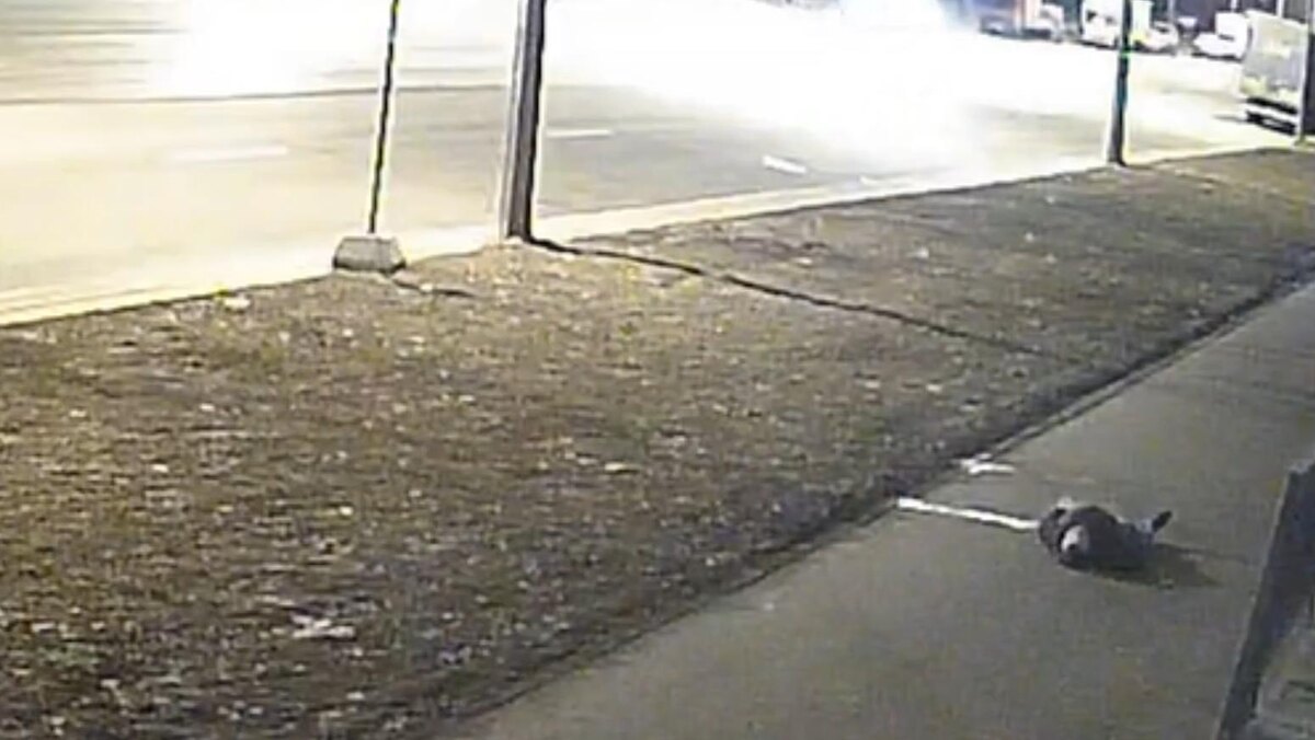    Фото: пресс-служба ГУ МВД России по Санкт-Петербургу и Ленинградской области