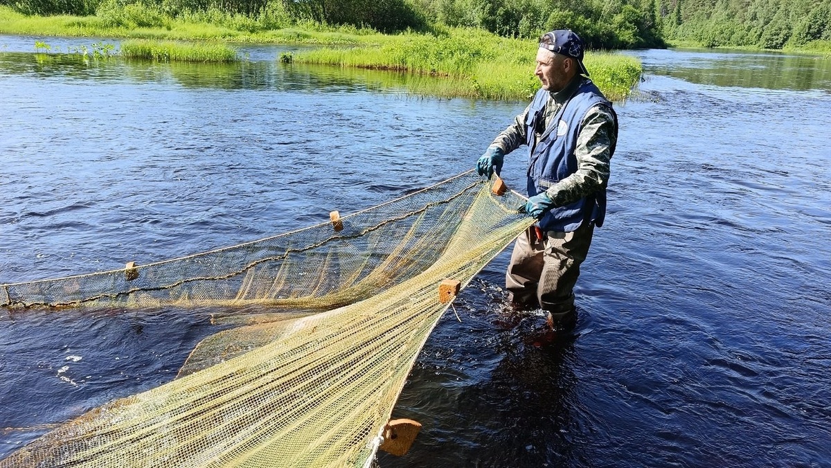 Фото: пресс-служба ВНИРО