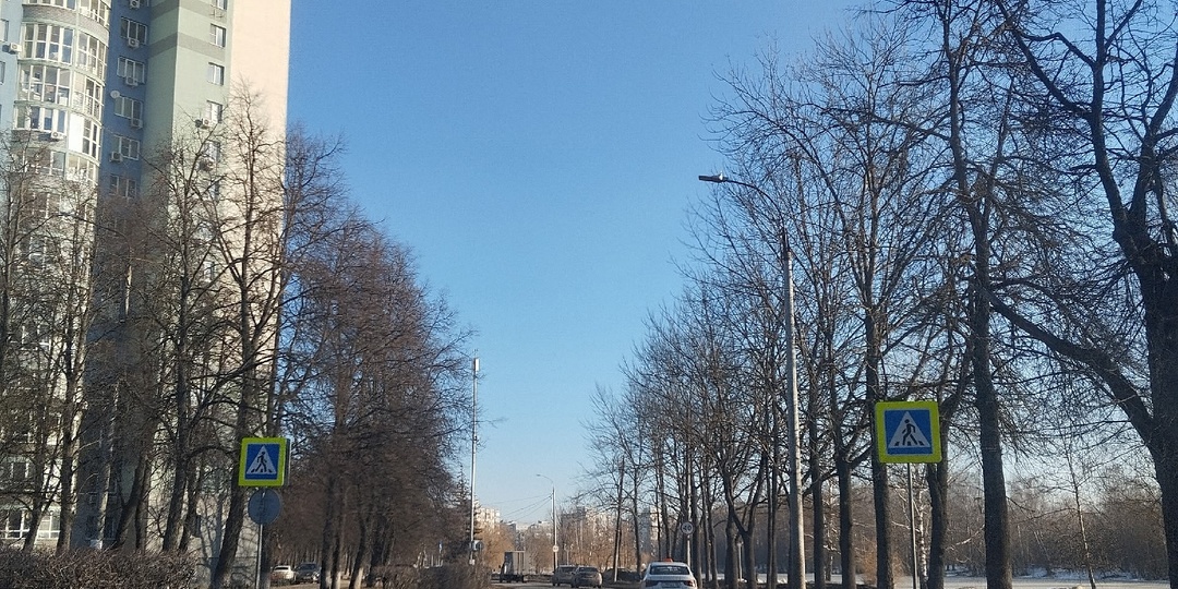 Дзен выручает 🤭