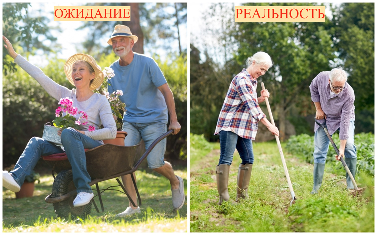 Designed by Freepik. Источник: www.freepik.com