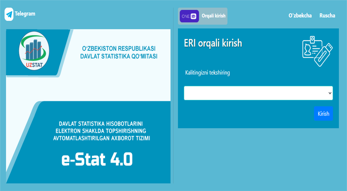 Рис. 1. Начальный экран приложения e-Stat 4.0