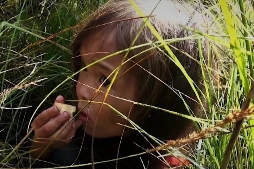    Маленькая Карина 12 дней блуждала по тайге, из-за высокой травы ее несколько раз не заметили. Фото: Служба спасения республики Саха (Якутия)