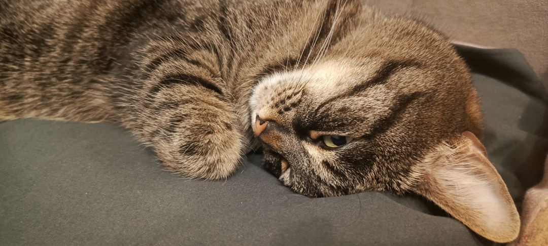 Раз-два прием прием, как слышно меня , прием