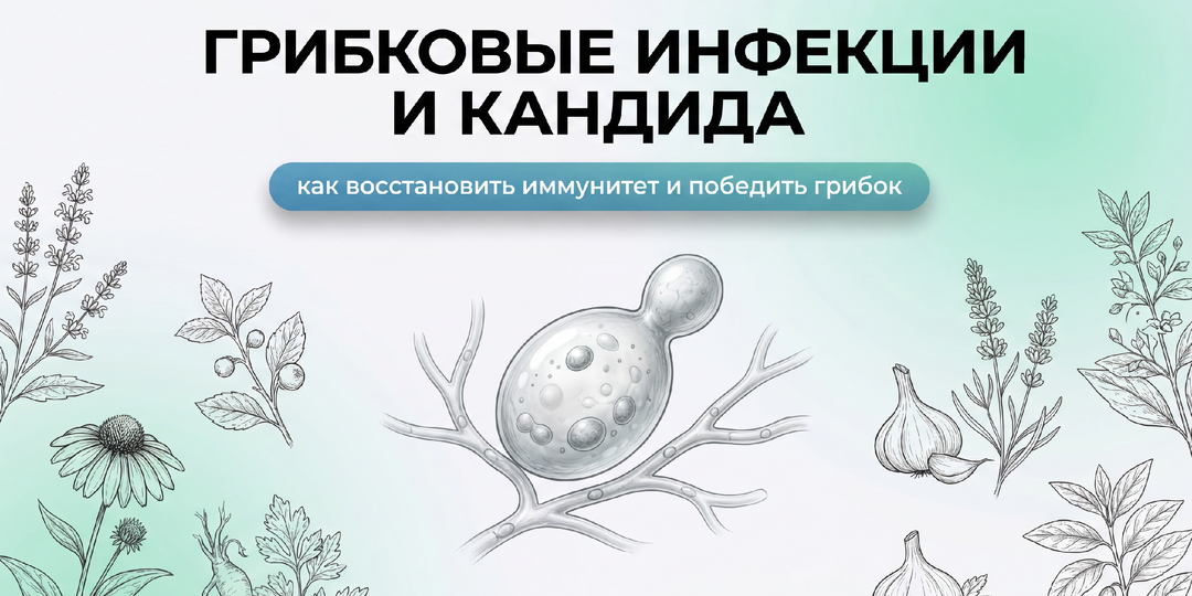 Грибковые инфекции и кандида: как восстановить иммунитет и победить грибок