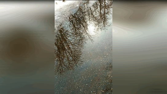 Гиф, автора