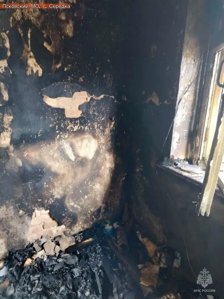 Фото: пресс-служба ГУ МЧС России по Псковской области